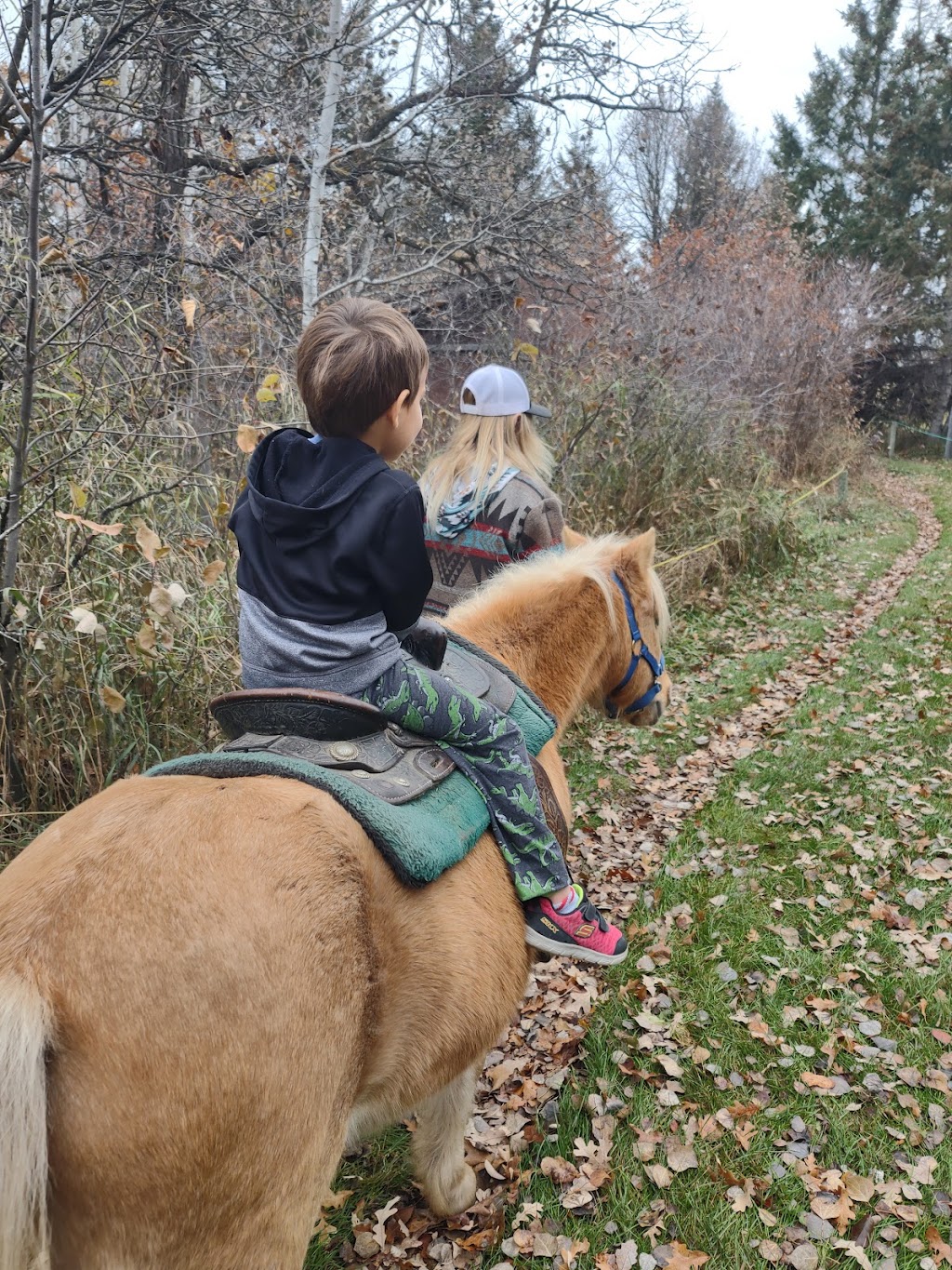 Birds Hill Park Ranch | 59 North Dr, Oakbank, MB R2G 1Y9, Canada | Phone: (204) 222-1137