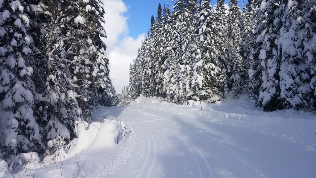 Camp Mercier | Réserve Faunique des Laurentides, Route 175, Lac-Jacques-Cartier, QC G0A 3K0, Canada | Phone: (418) 848-2422