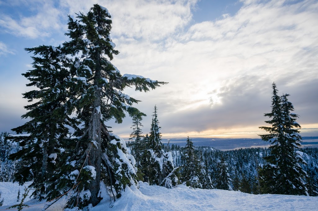 Mount Seymour Provincial Park | Mt Seymour Rd, North Vancouver, BC V7G 1L3, Canada | Phone: (604) 986-9371