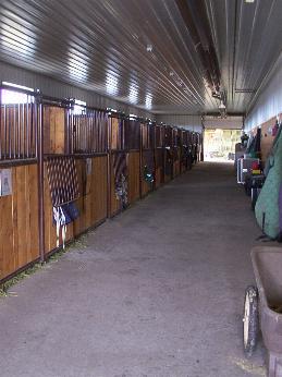 Burnt Lake Stables | 428577 Hwy 596 Canada Canada, AB T4N 5E1, Canada | Phone: (403) 309-8880