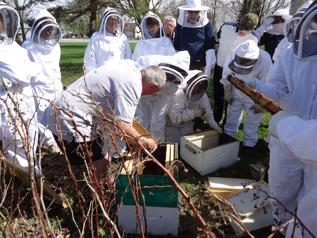 Apiculture Patenaude | 595 Rang de lÉglise S, Saint-Ignace-de-Stanbridge, QC J0J 1Y0, Canada | Phone: (514) 233-4437