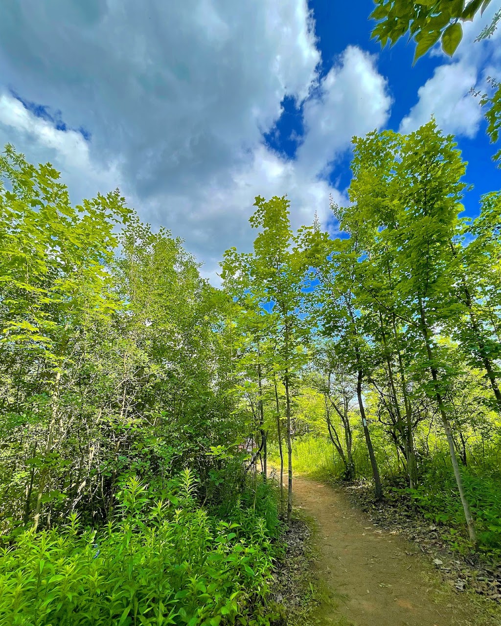 Cheltenham Badlands | 1739 Olde Base Line Rd, Caledon, ON L7C 0K6, Canada | Phone: (800) 367-0890