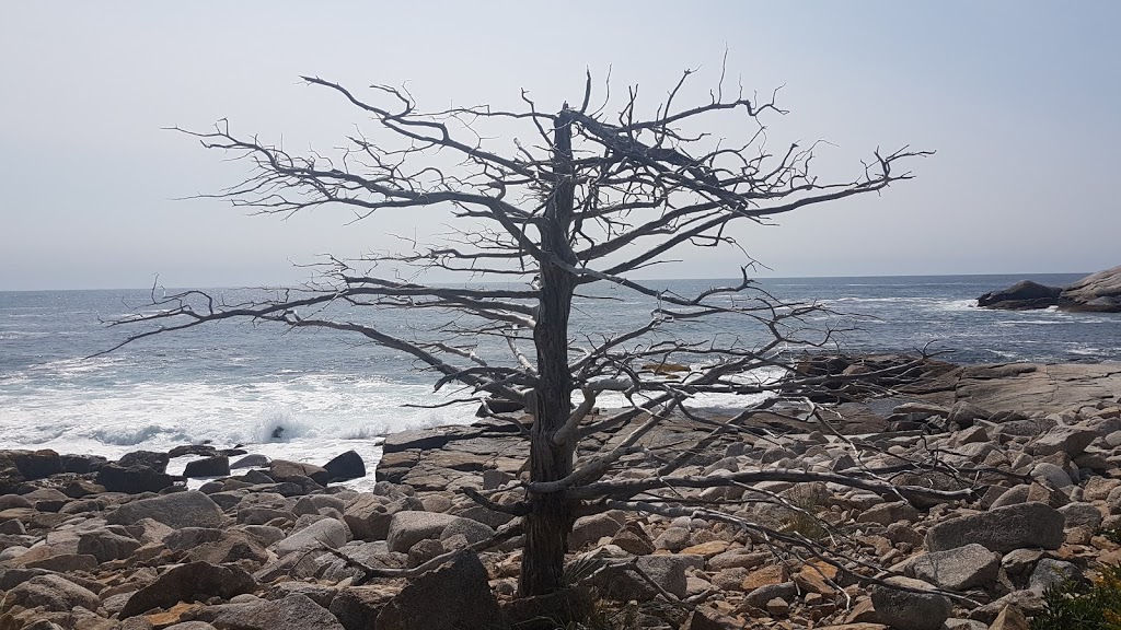 Crystal Crescent Beach Provincial Park | Sambro Creek, NS, Canada