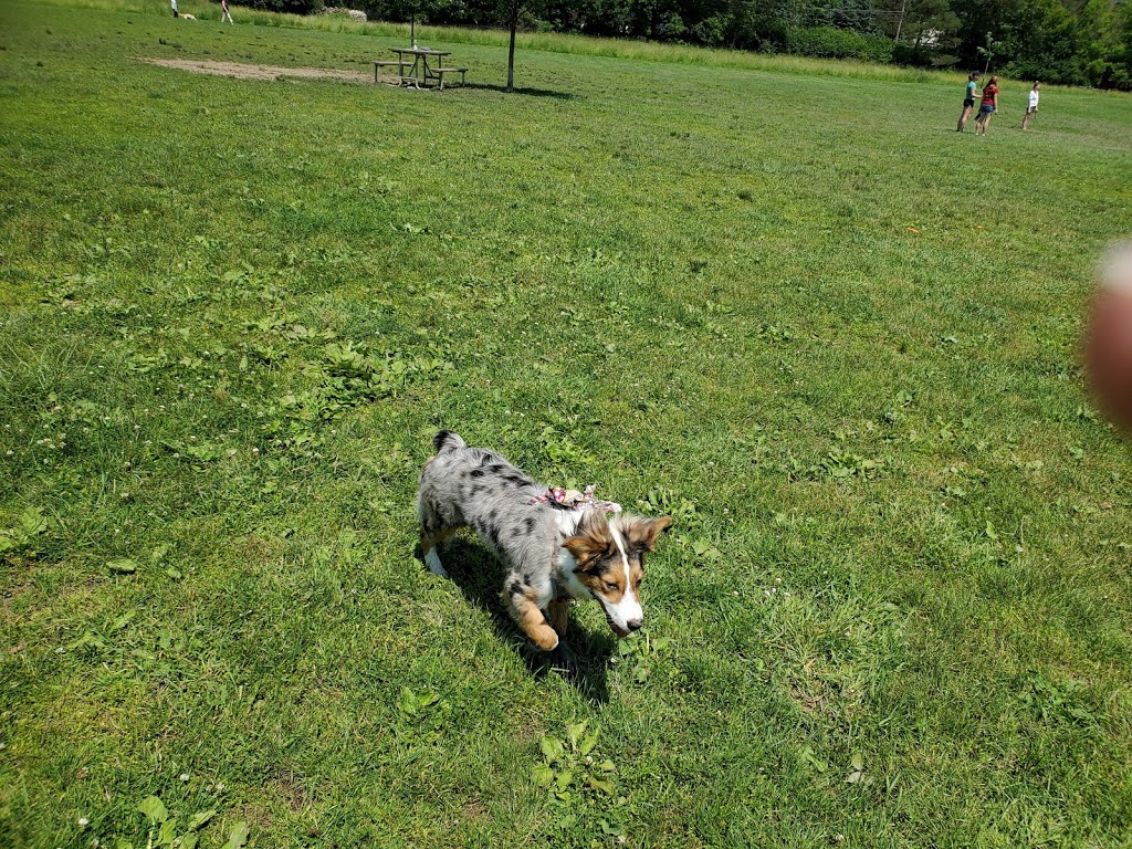 Knox Farm Dog Park | 437 Buffalo Rd, East Aurora, NY 14052, USA | Phone: (716) 652-0786