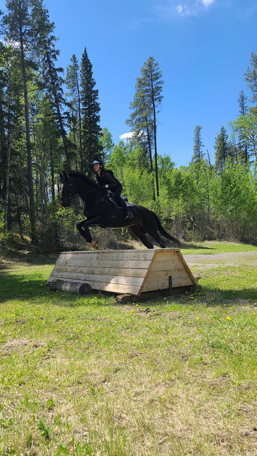 Prentice Creek Equestrian Centre | Clearwater County, AB T0M 0C0, Canada | Phone: (403) 846-8756