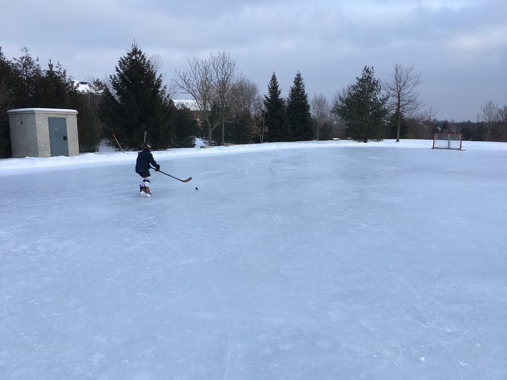 Cross Creek Ice Rink | 78 Cross Creek Blvd, Guelph, ON N1H 6J2, Canada | Phone: (519) 856-9596