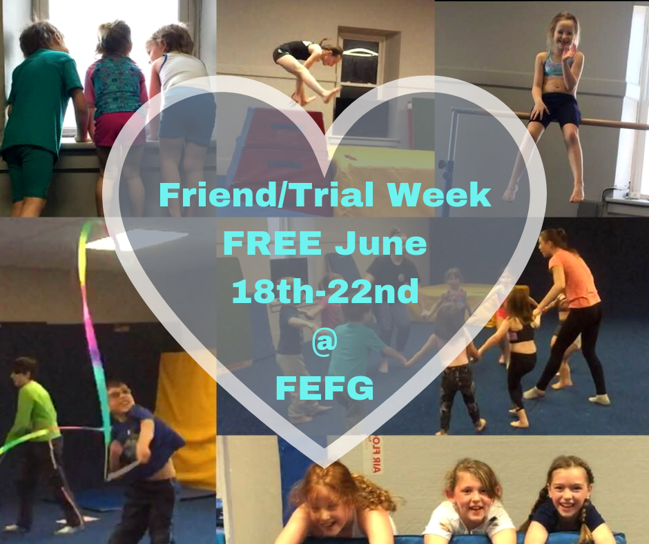 Fort Eries Fantastic Gymnastics | 20 Lewis St, Fort Erie, ON L2A 2P7, Canada | Phone: (289) 228-8906