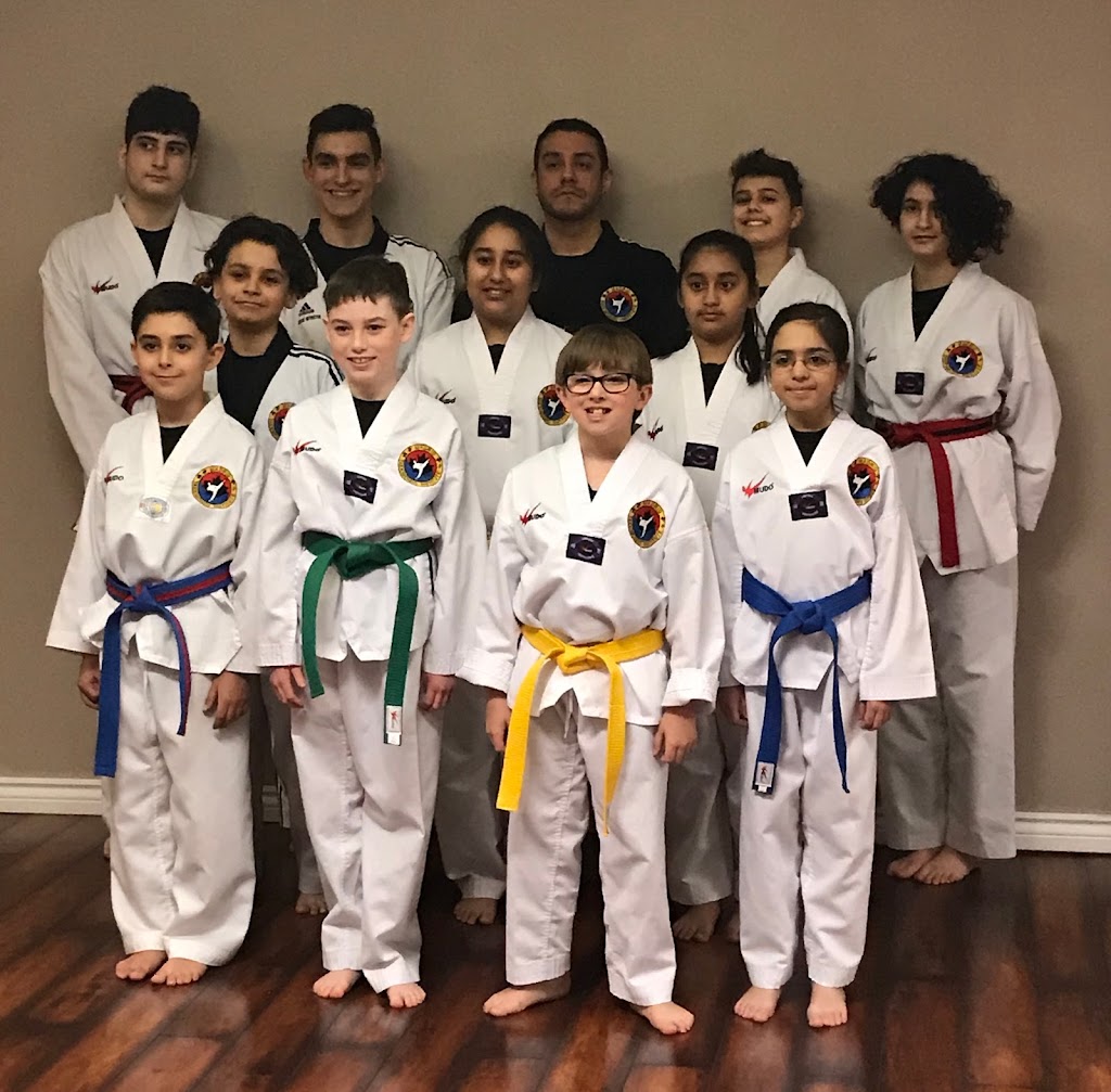 Madrid Taekwondo Institute | 1 Nelson St W #11B, Brampton, ON L6X 4J2, Canada | Phone: (647) 224-9461