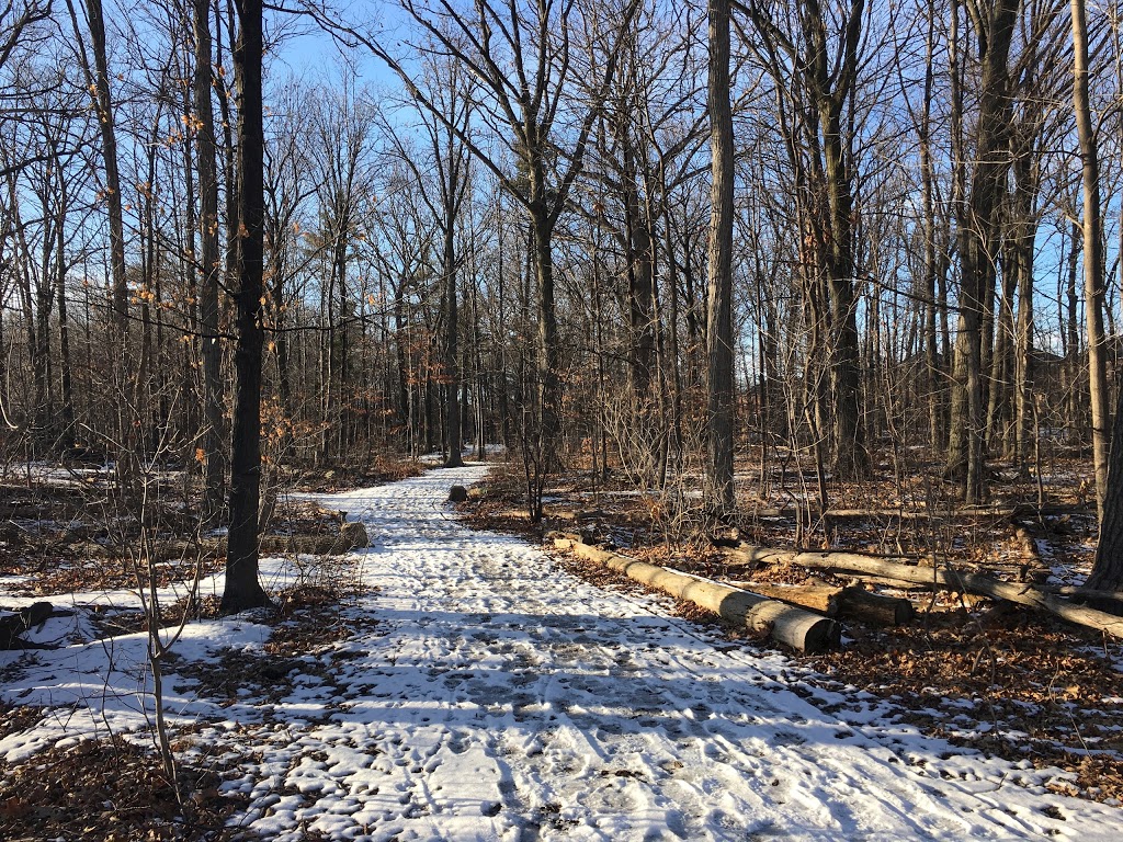 Orchard Woodlot Central | Burlington, ON L7L 6Z1, Canada