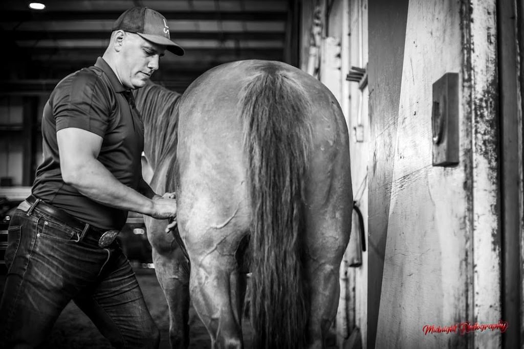 Warrior Equine Massage Therapy | 49173, Range Rd 264, Calmar, AB T0C 0V0, Canada | Phone: (780) 975-7371