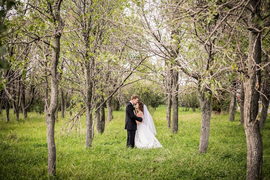 JoyLove Photography | 22 Morris Pl SE, Airdrie, AB T4A 2B6, Canada | Phone: (403) 971-1404