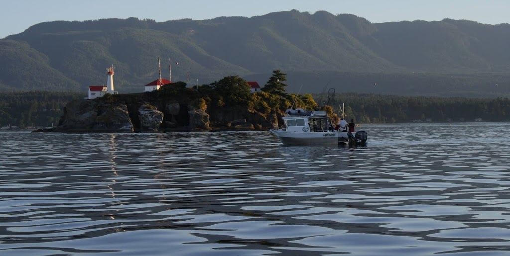 Big Coast Marine Adventures | 10100 Green Hill Rd, Denman Island, BC V0R 1T0, Canada | Phone: (250) 218-6834