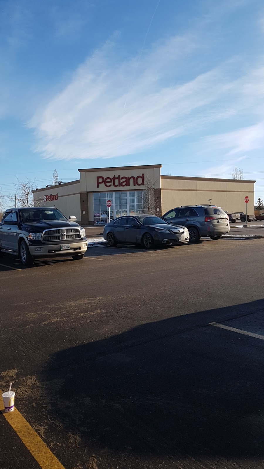 Petland Regent | 1546 Regent Ave W, Winnipeg, MB R2C 3B4, Canada | Phone: (204) 654-9806