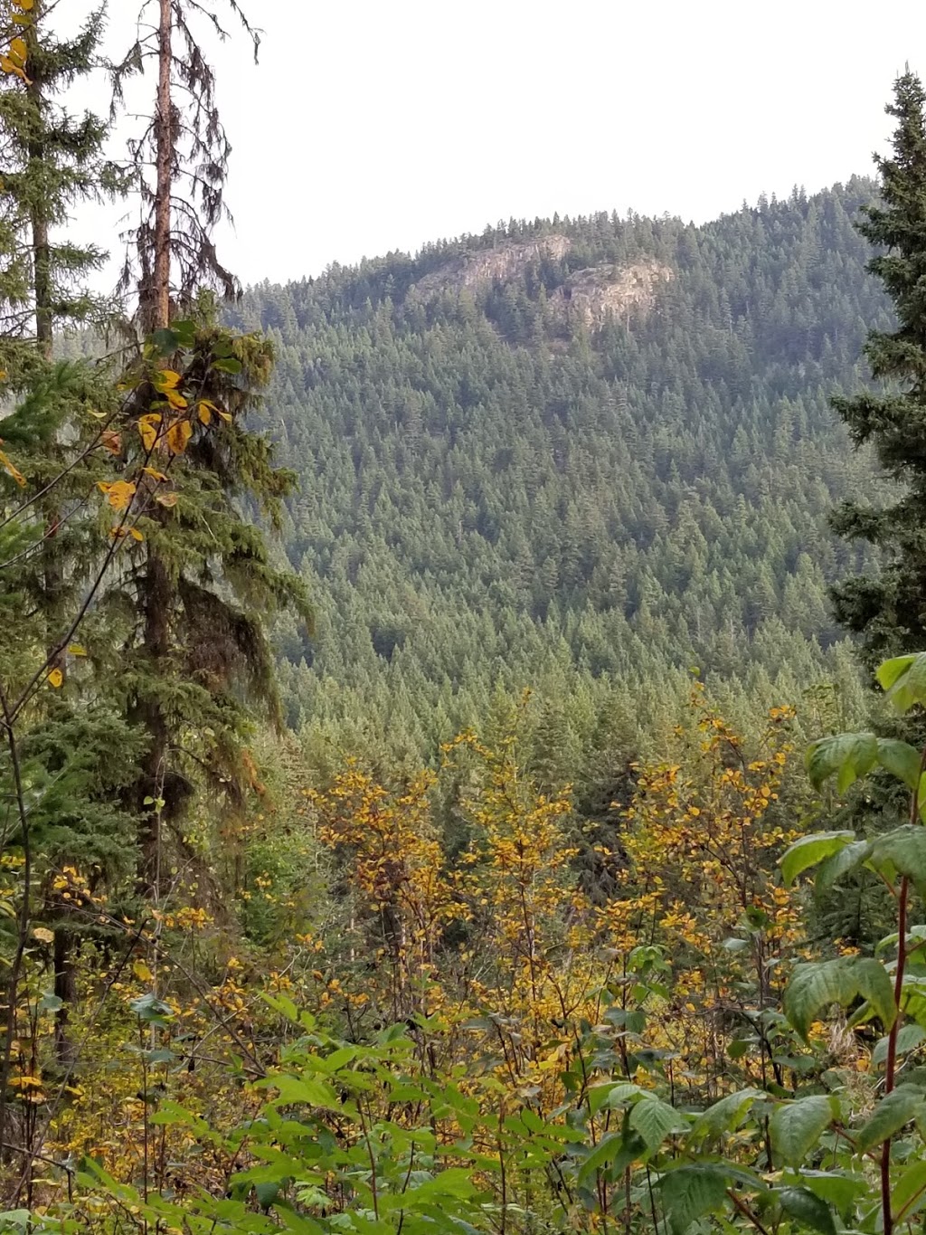 Paul Lake campground - Paul Lake Provincial Park, Kamloops Indian ...