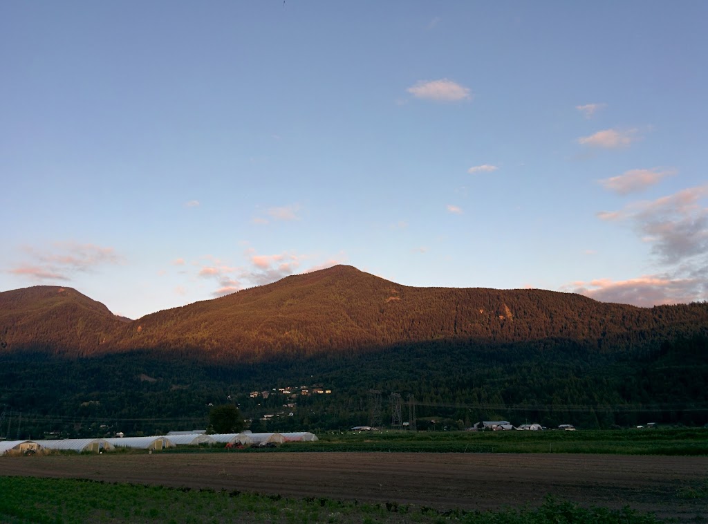 Forstbauer Family Natural Food Farm | 49350 Prairie Central Rd, Chilliwack, BC V2P 6H3, Canada | Phone: (604) 794-3999