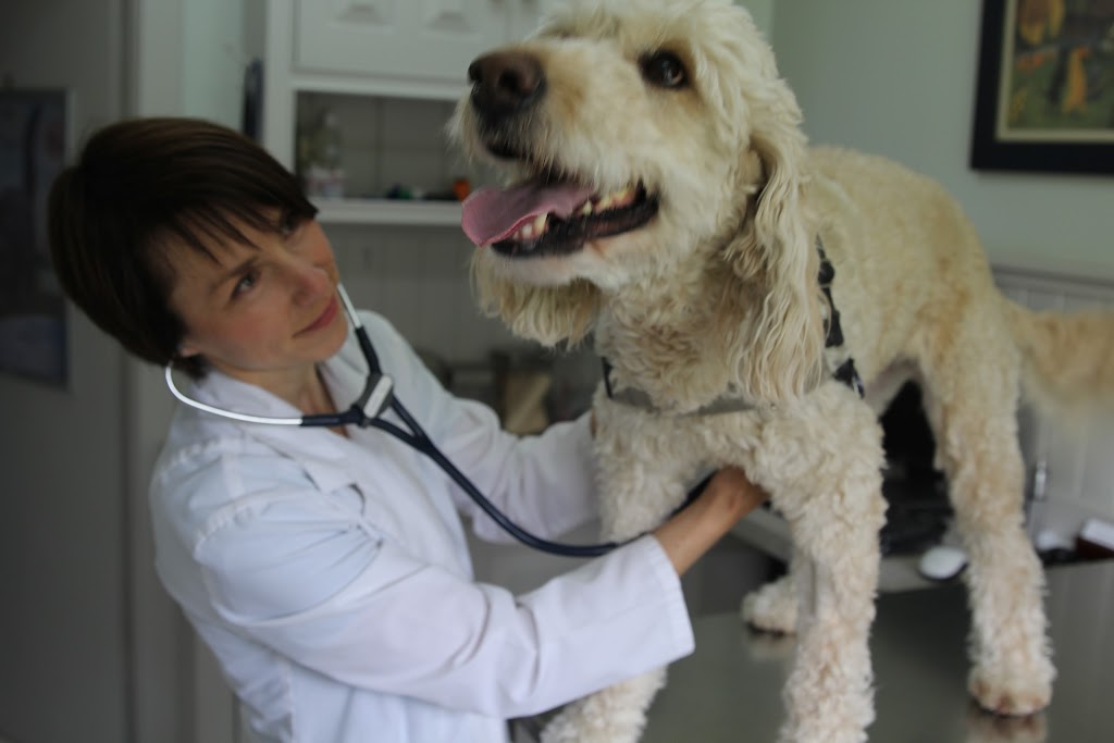 Island Animal Hospital (The) | B, 5993 ON-542, Mindemoya, ON P0P 1S0, Canada | Phone: (705) 377-7200