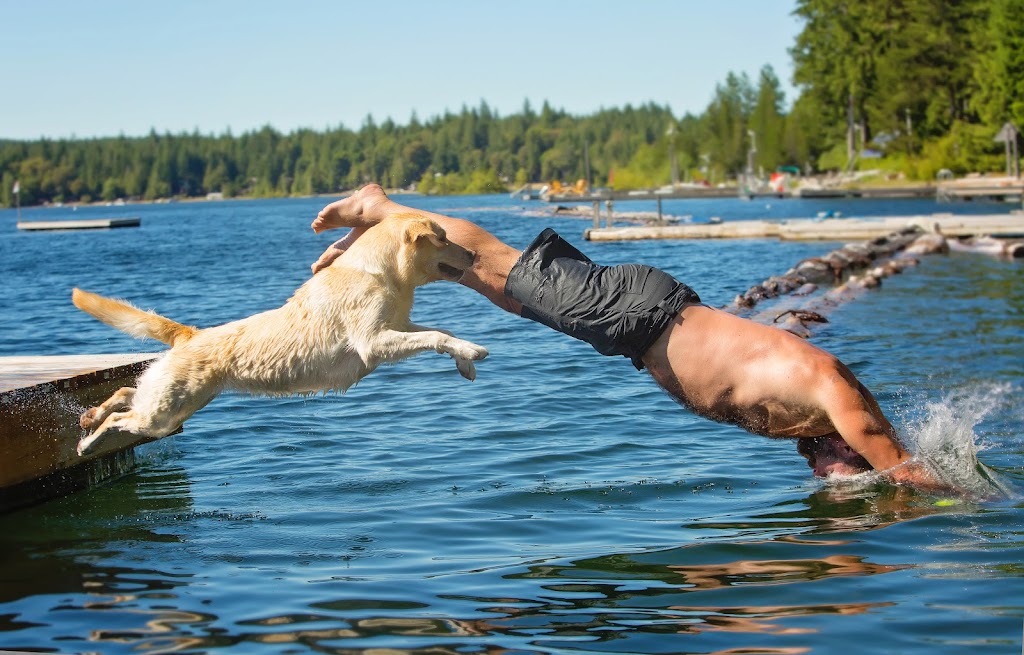 Muddy Love Pet Photography | 1441 Briarlynn Crescent, North Vancouver, BC V7J 3G4, Canada | Phone: (604) 999-8468