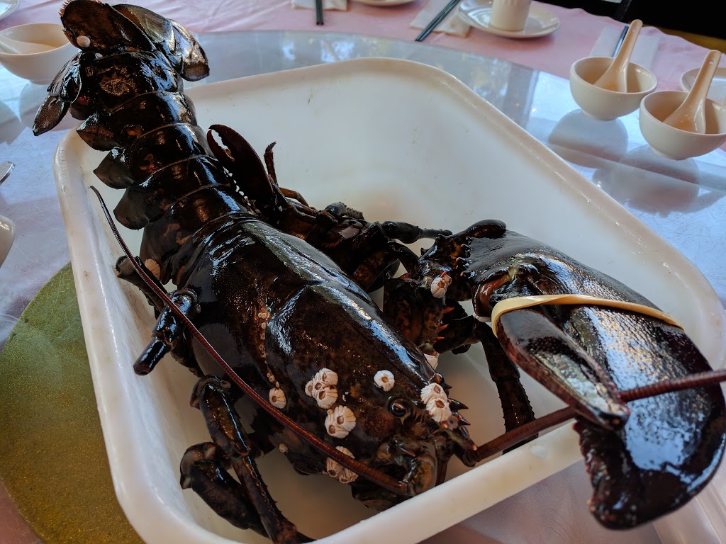 Lobster King Seafood Restaurant | 4911 Steeles Ave E #1, Scarborough, ON M1V 4Z3, Canada | Phone: (416) 293-8868