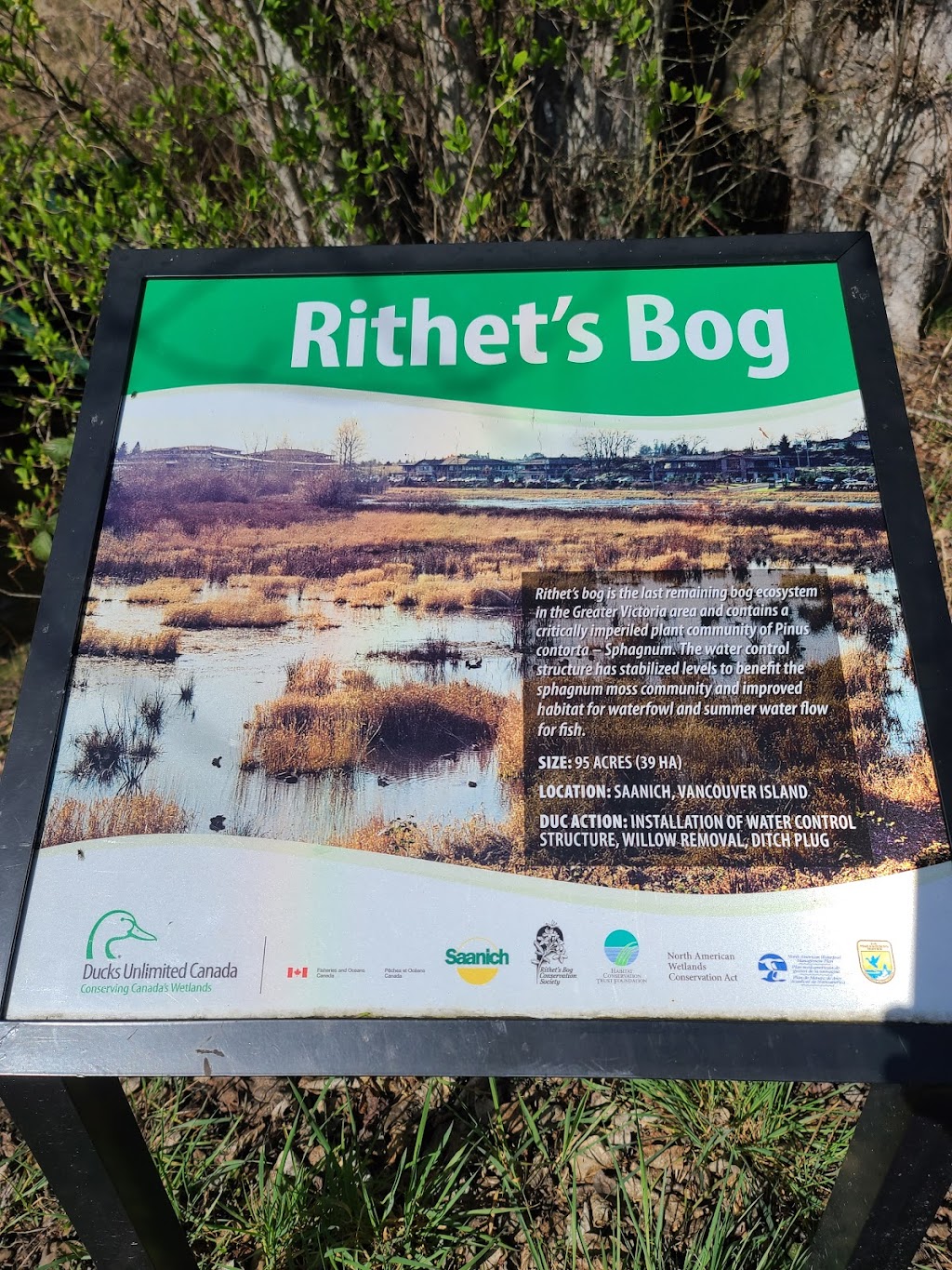 Rithet’s Bog Conservation Society | 4461 Chatterton Way, Victoria, BC V8X 5H7, Canada | Phone: (250) 479-0491