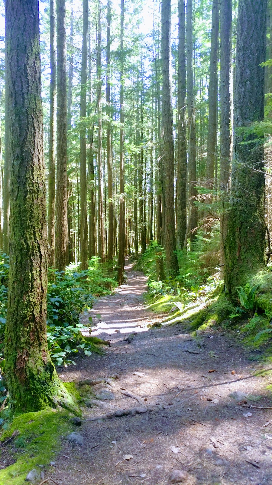 Cypress Falls Park | West Vancouver | Woodgreen Pl, West Vancouver, BC V7S 2V6, Canada | Phone: (604) 925-7275