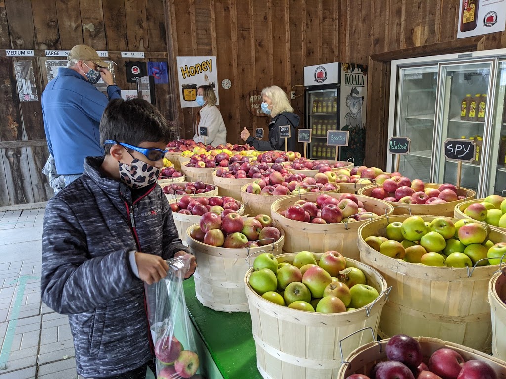 Applevale Orchards | 5144 Derry Rd, Burlington, ON L7M 0R6, Canada | Phone: (647) 988-1753