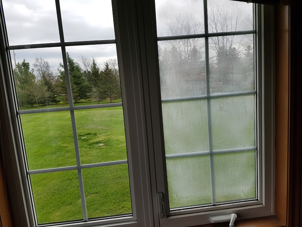 Quality Window Cleaning | 3845 Greenfield Rd, Inverary, ON K0H 1X0, Canada | Phone: (613) 453-7937