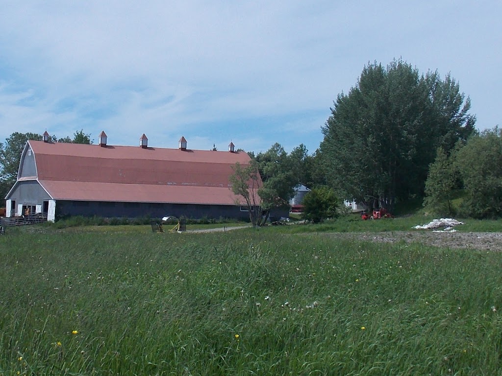 Ferme Claunik | 30 Rue St Joseph S, Rivière-Bleue, QC G0L 2B0, Canada | Phone: (418) 893-2716