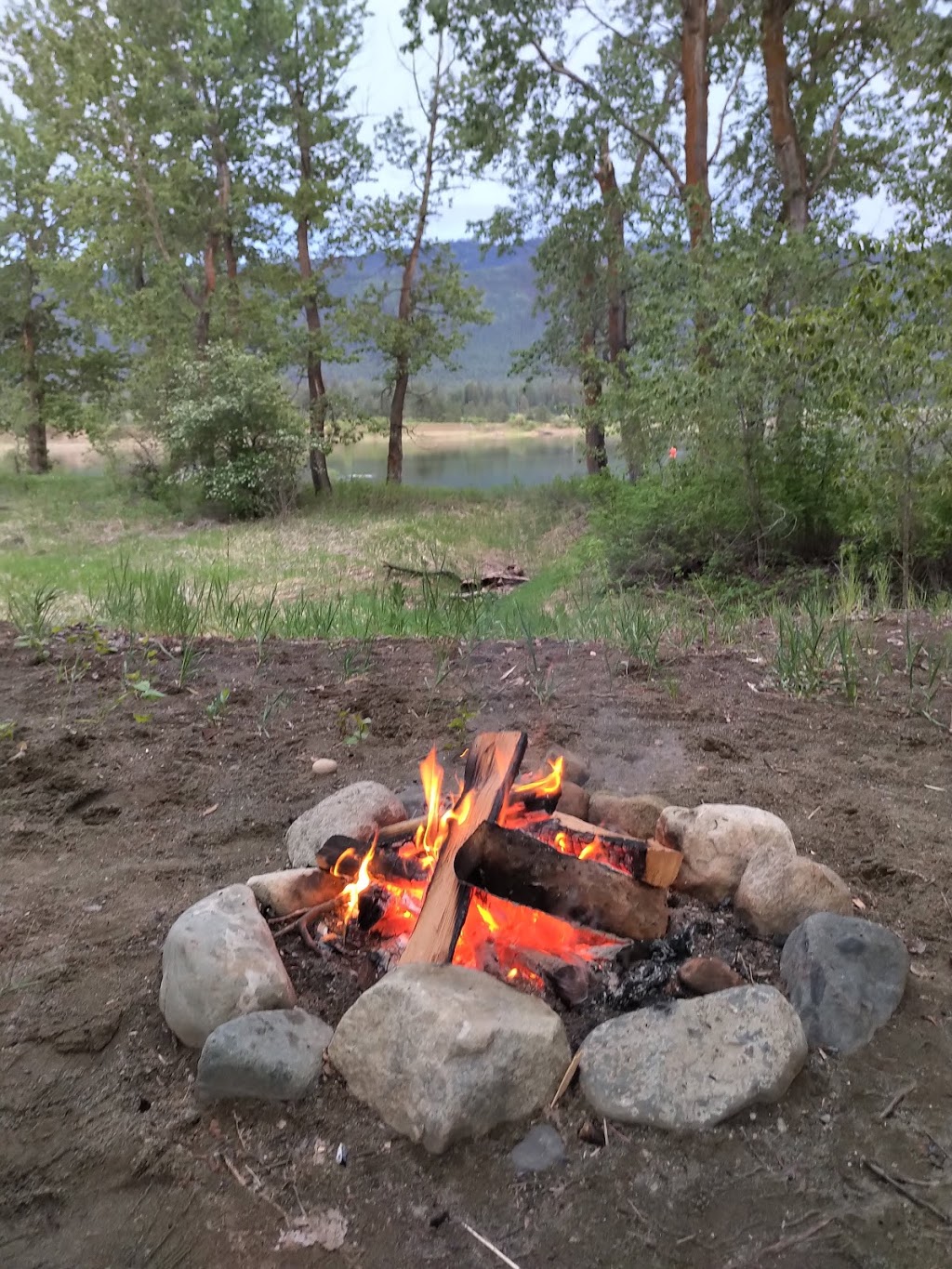 Shuswap Meadows RV Campground | 3500 Kamloops-Shuswap Rd, Chase, BC V0E 1M0, Canada | Phone: (250) 299-4678