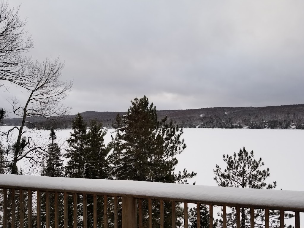 All-Season Cottage Rentals | 1111 Elk Dr, Haliburton, ON K0M 1S0, Canada | Phone: (705) 754-1506