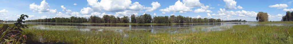 Parc national de Plaisance, secteur Thurso | Sentier des Outaouais, Thurso, QC J0X 3B0, Canada | Phone: (819) 427-5334