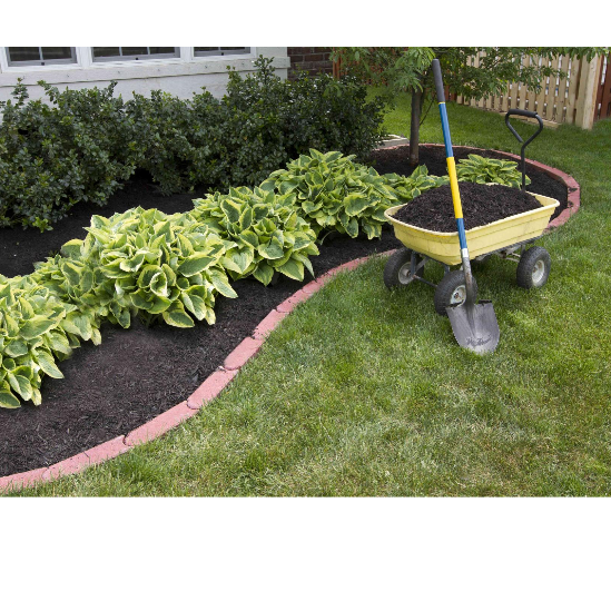 Wow! My Garden | King St, Strathroy, ON N7G 2E1, Canada | Phone: (519) 495-8582