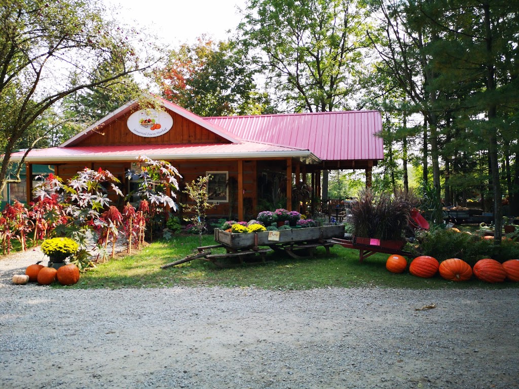 Fall Harvest Farm | 1011 Gerber Rd, St. Agatha, ON N0B 2L0, Canada | Phone: (226) 791-7601