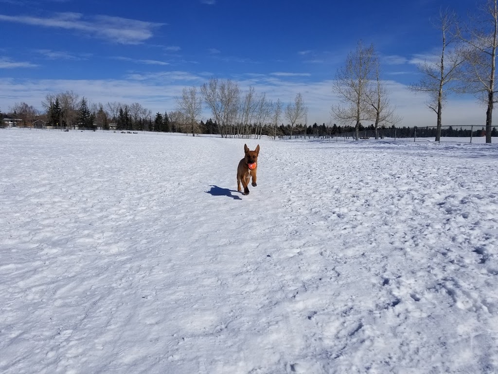 Queens Park Villiage off-leash area QPK-001 | 3425 10 St NW, Calgary, AB T2K, Canada