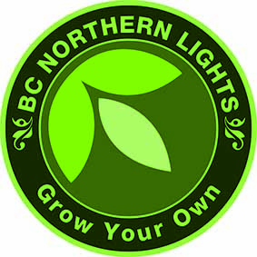 BC Northern Lights | 13060 80 Ave #311, Surrey, BC V3W 3B2, Canada | Phone: (888) 236-1266