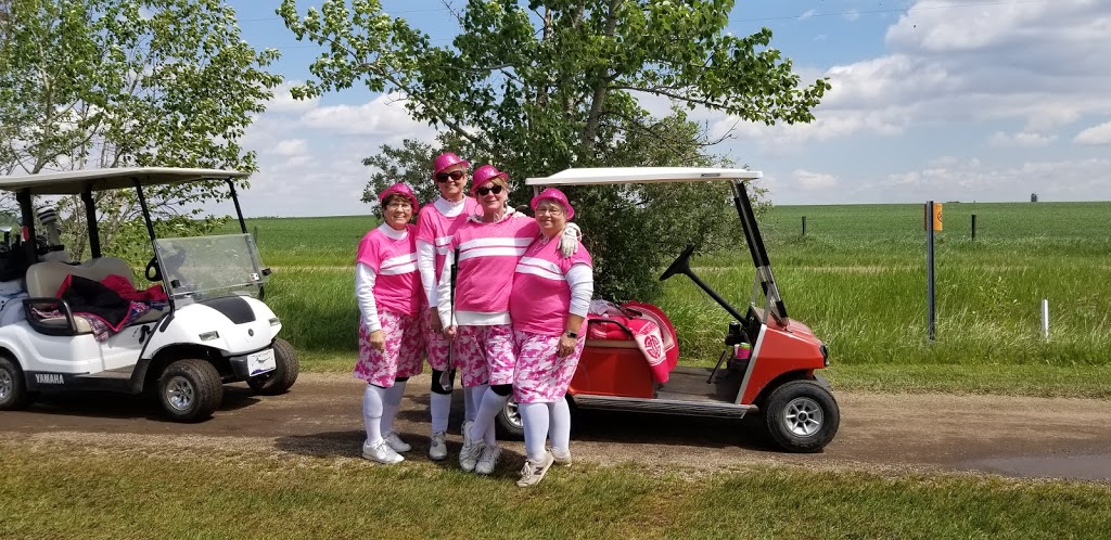 Bashaw Golf and Country Club | Bashaw, AB T0B 0H0, Canada | Phone: (780) 372-2333