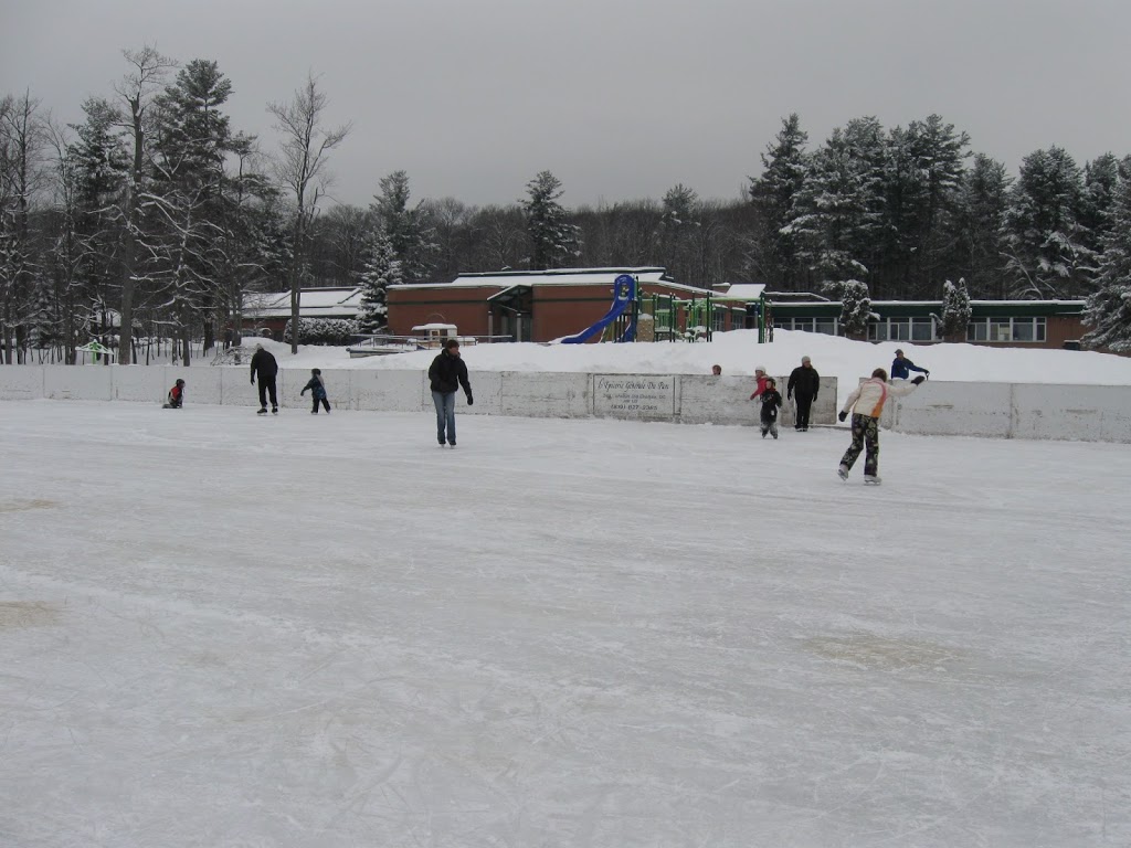 Chelsea Elementary School | 75 Chemin Old Chelsea, Chelsea, QC J9B 1K9, Canada | Phone: (819) 827-0245