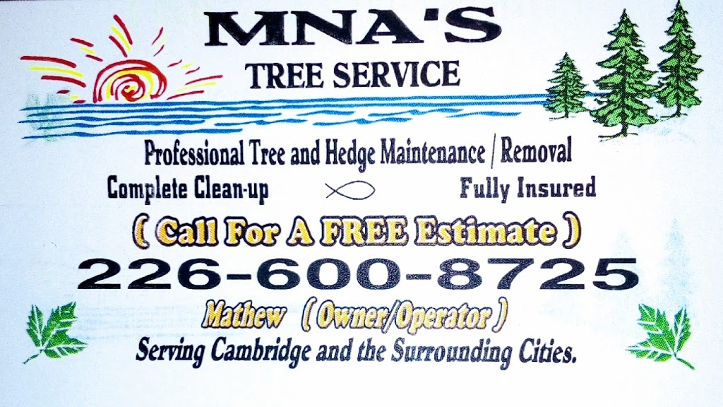 MNAS Tree Service | 61 Lowell St N, Cambridge, ON N1R 5E2, Canada | Phone: (226) 600-8725