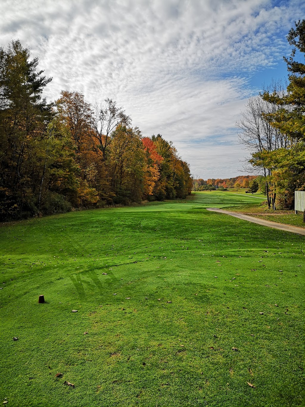 Rivendell Golf Club | 7359 Road 38, Verona, ON K0H 2W0, Canada | Phone: (613) 374-3404