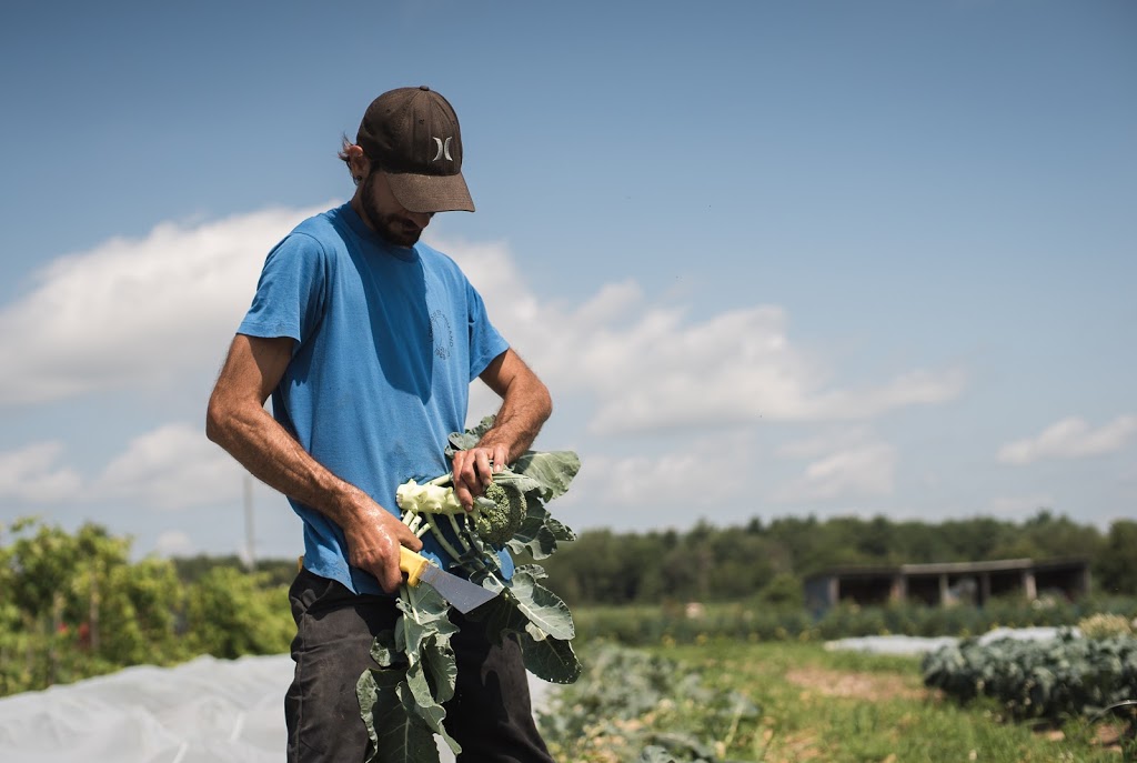 Les Jardins DiversiBio | 135 Chemin du Golf, Farnham, QC J2N 2P9, Canada | Phone: (514) 863-9499