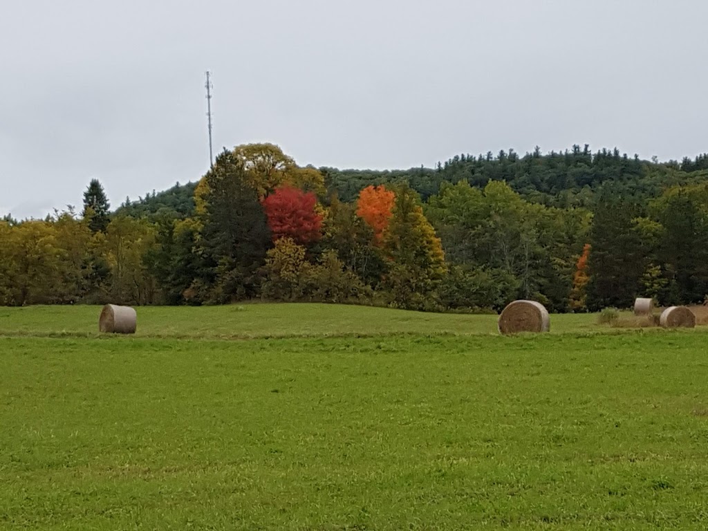 P17 Gatineau Park | Route Principale E, La Pêche, QC J0X 3G0, Canada