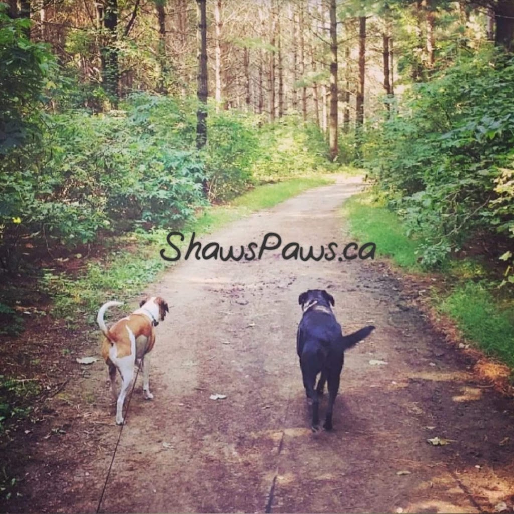 Shaws Paws | 73 Scotia Rd, Sutton, ON L0E 1R0, Canada | Phone: (289) 338-6629