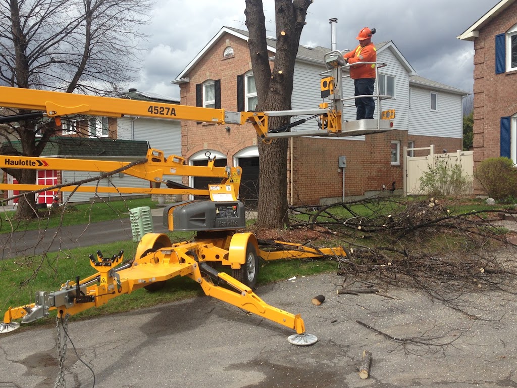 Nicholls Tree and Lawn Service Inc | 6109 Heritage Park Crescent, Orléans, ON K1C 7G8, Canada | Phone: (613) 882-3873