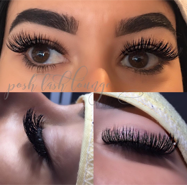 Posh Lash & Brow Lounge | 99 Wye Rd Suite 13, Sherwood Park, AB T8B 1M1, Canada | Phone: (780) 467-9994