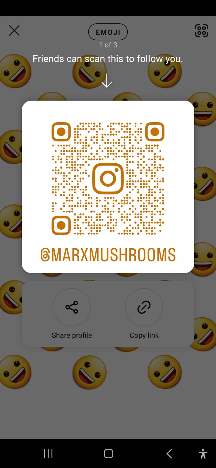 Marx mushrooms | #6083, Southwold, ON N0L 2G0, Canada | Phone: (226) 503-0759