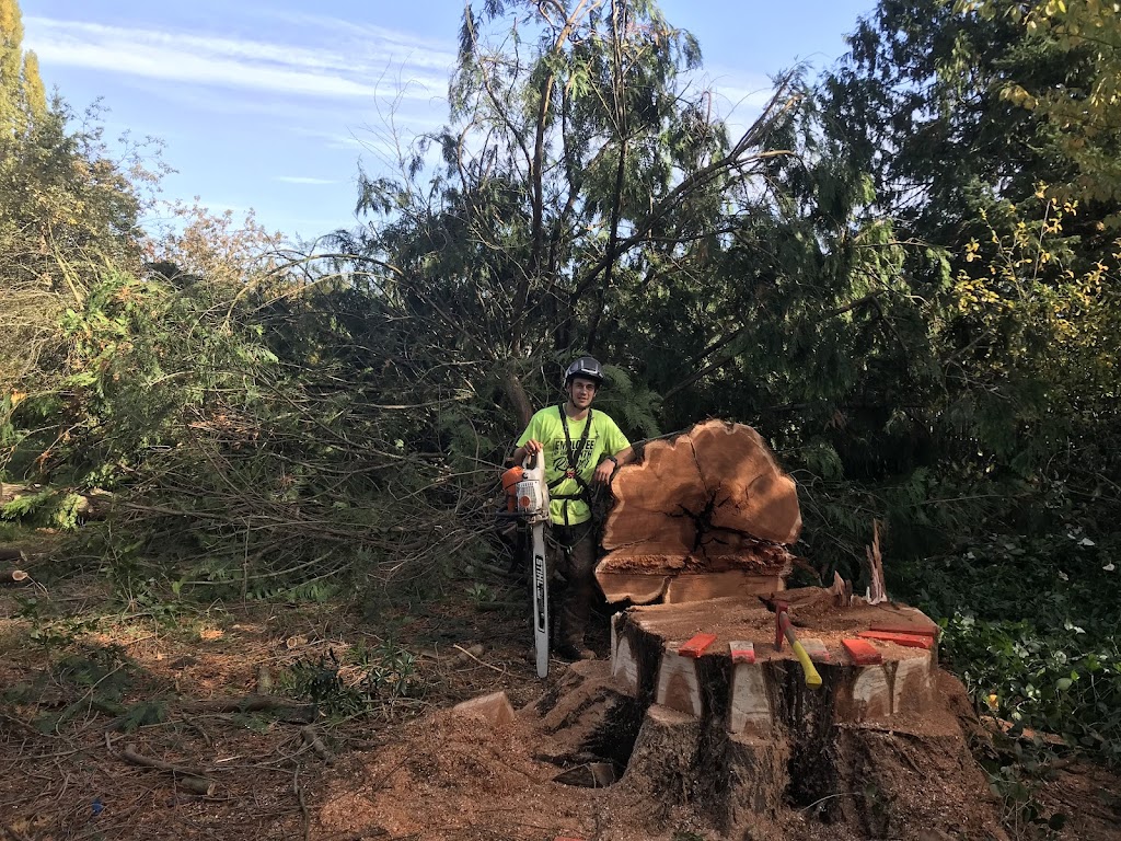 Cullen Tree Service | 6252 Oldfield Rd, Saanichton, BC V8M 1X7, Canada | Phone: (250) 644-3494