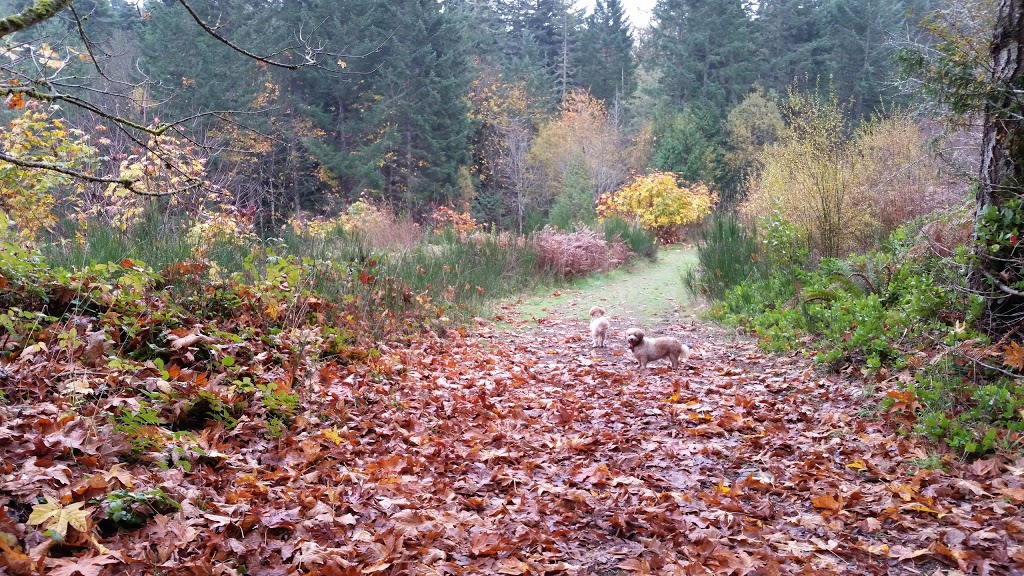 Francis King Regional Park - Main Parking Lot | Munn Rd, Saanich, BC V9E, Canada