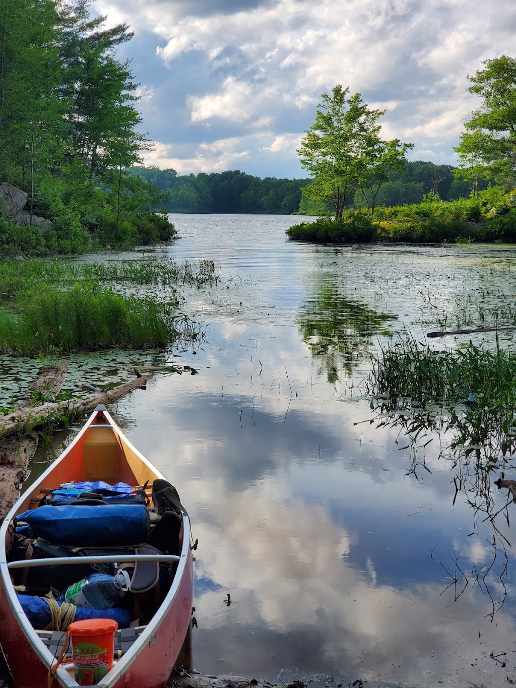 Little Turtle Lake | Coon Lake Rd, Harcourt, ON K0L 3E0, Canada | Phone: (613) 332-3940