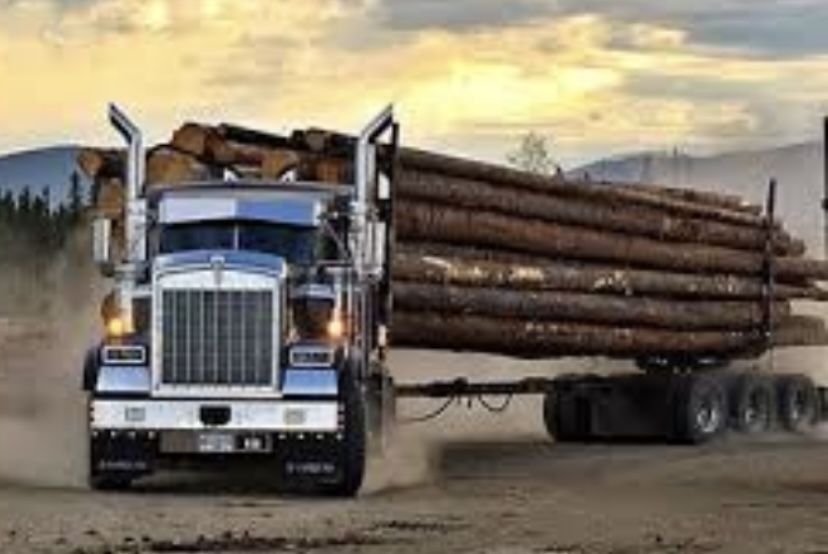 Marta Trucking | 4504 Bowness Ave, Powell River, BC V8A 3S1, Canada | Phone: (236) 358-5145