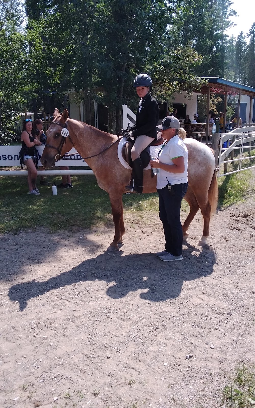 Prentice Creek Equestrian Centre | Clearwater County, AB T0M 0C0, Canada | Phone: (403) 846-8756