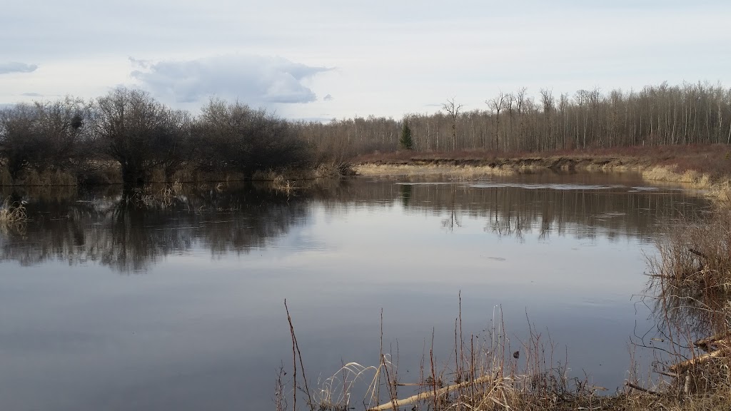 Riverlot 56 Natural Area | Poundmaker Rd, St. Albert, AB, Canada